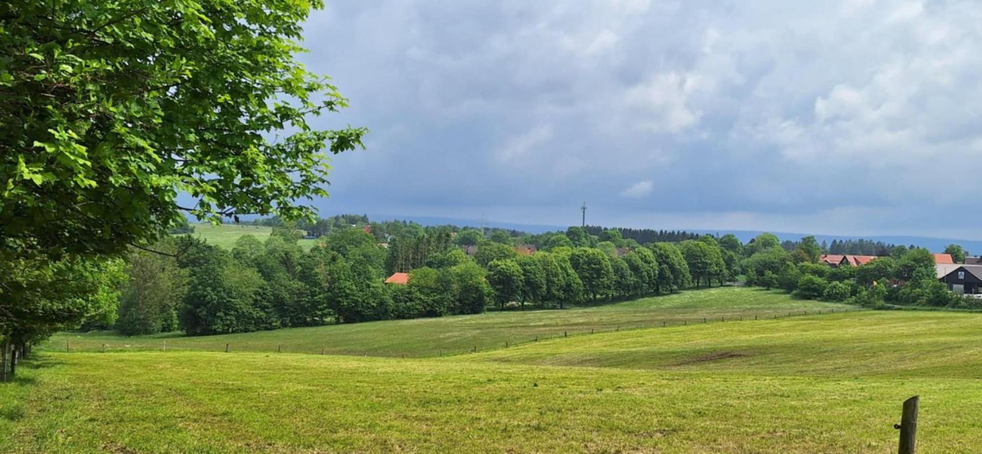 Mai-Ferienhaus-Harz 210Qm Clausthal-Zellerfeld Esterno foto